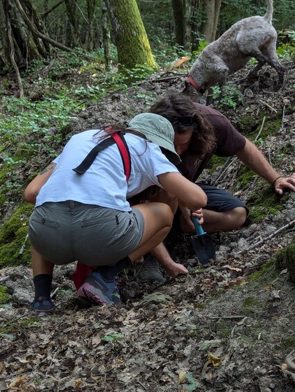 Picture 12 for Activity From Parma/Cinque Terre: Truffle Hunting Experience & Lunch