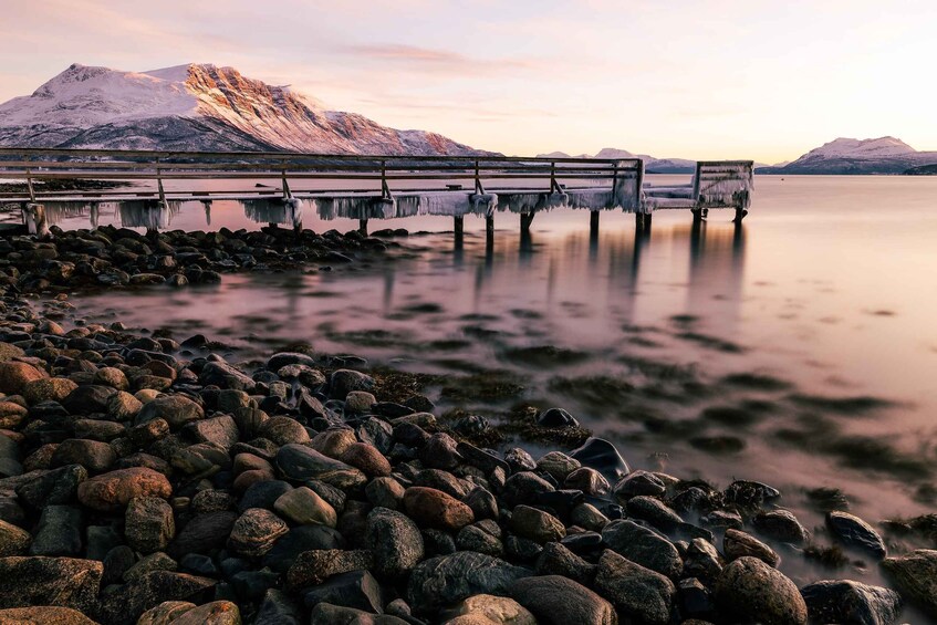 Picture 7 for Activity Tromso: Guided Fjord Expedition & Kvaløya Island with Lunch