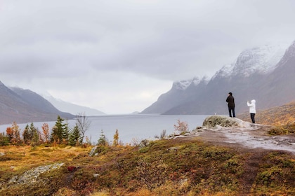 Tromso: Guided Fjord Expedition & Kvaløya Island with Lunch