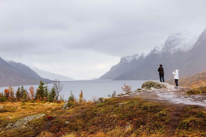 Picture 10 for Activity Tromso: Guided Fjord Expedition & Kvaløya Island with Lunch