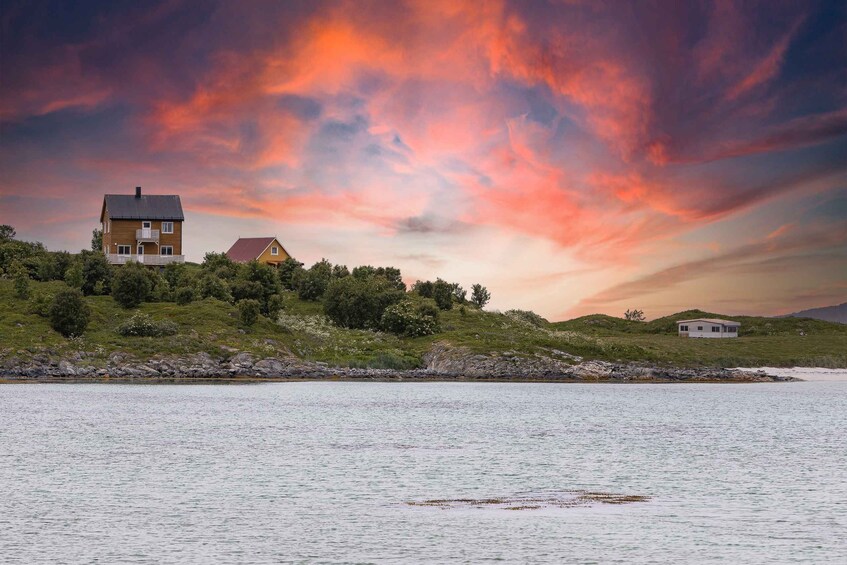 Picture 4 for Activity Tromso: Guided Fjord Expedition & Kvaløya Island with Lunch