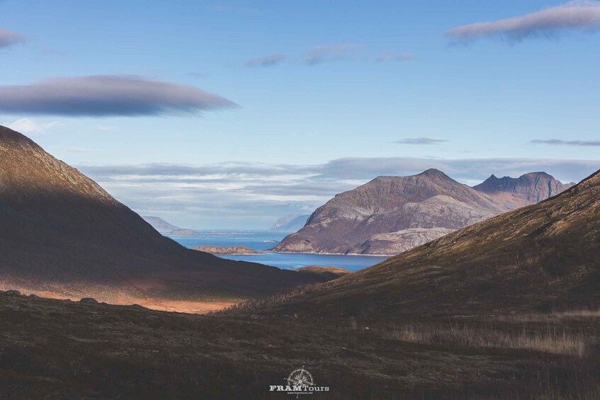 Picture 15 for Activity Tromso: Guided Fjord Expedition & Kvaløya Island with Lunch