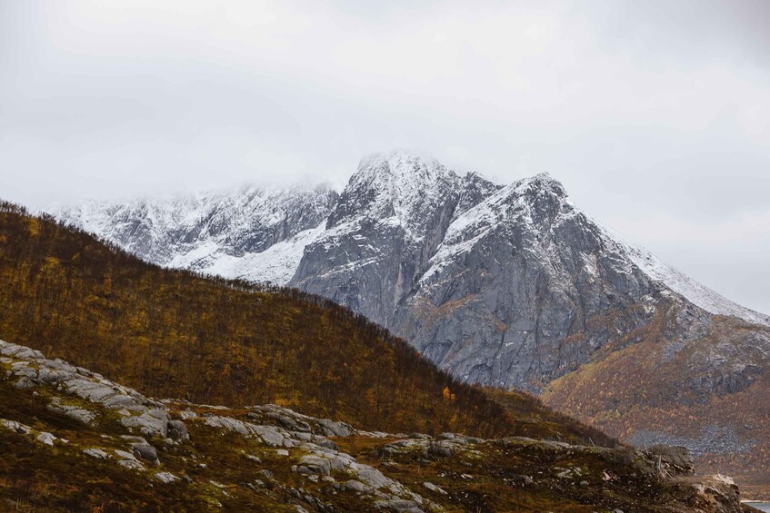 Picture 9 for Activity Tromso: Guided Fjord Expedition & Kvaløya Island with Lunch