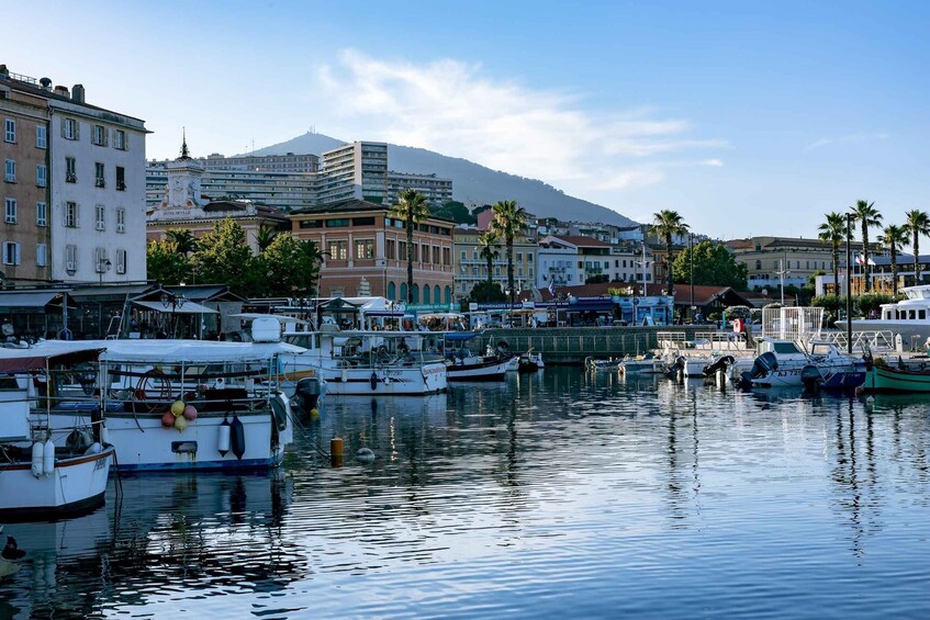 Picture 1 for Activity Ajaccio: Private Walking City Tour