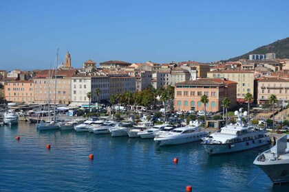 Ajaccio: recorrido privado a pie por la ciudad