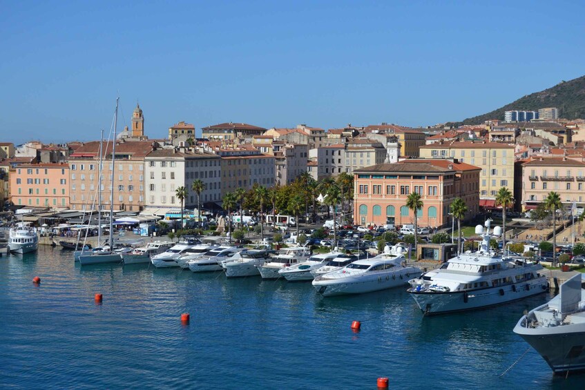 Ajaccio: Private Walking City Tour