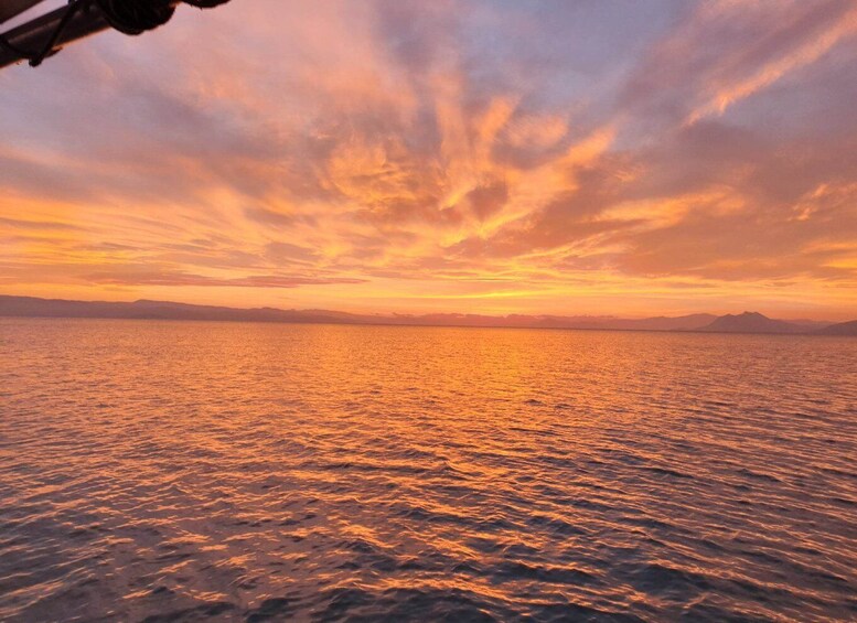 Picture 8 for Activity Skiathos: Boat Cruise with Lunch