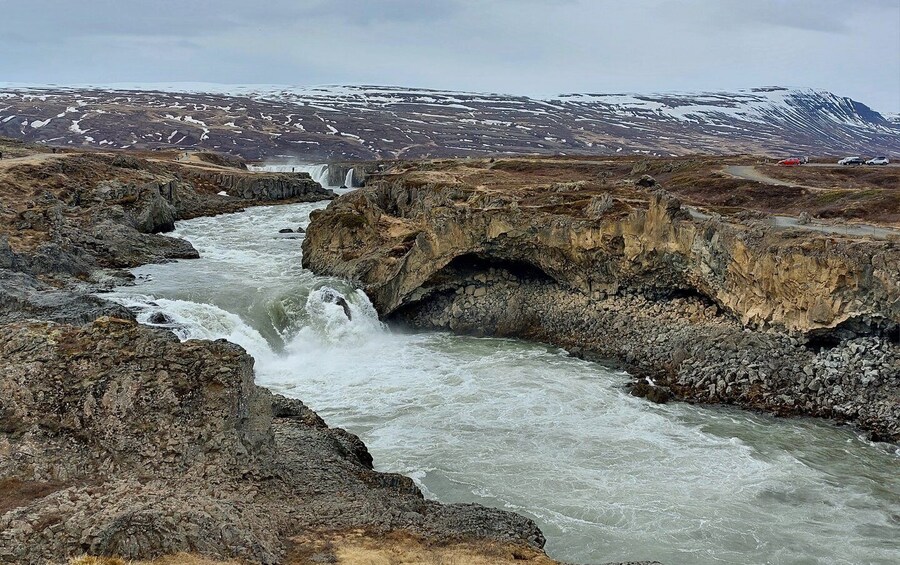 Picture 4 for Activity Akureyri: Goðafoss, Laufas & The Christmas House Tour