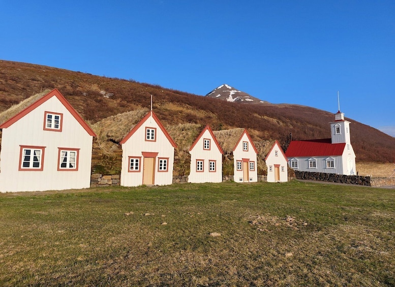Picture 2 for Activity Akureyri: Goðafoss, Laufas & The Christmas House Combo Tour
