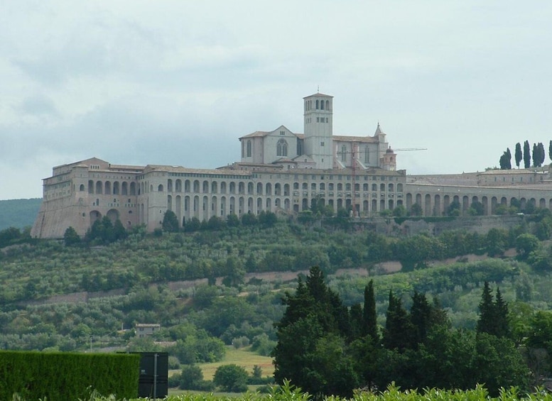 Picture 1 for Activity Assisi and Countryside Winery Private Tour from Rome