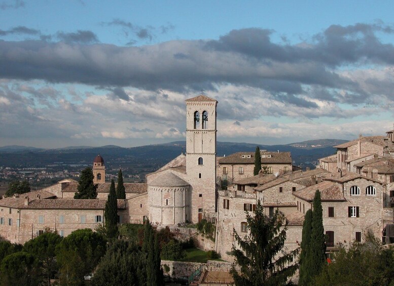 Assisi and Countryside Winery Private Tour from Rome