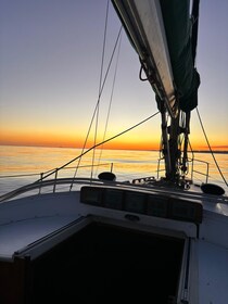 Private Bootstour bei Nacht - Lissabon