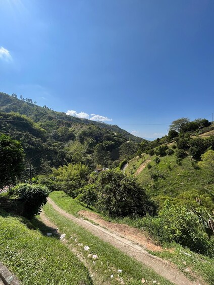 Picture 5 for Activity Coffe Tour: Land Rover Adventure, with Harvest and Tasting.