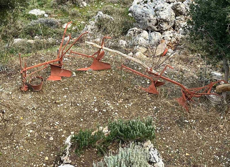 Picture 32 for Activity Private Guided Jeep Tour, Zeus Cave, Lasithi Plateau Half D