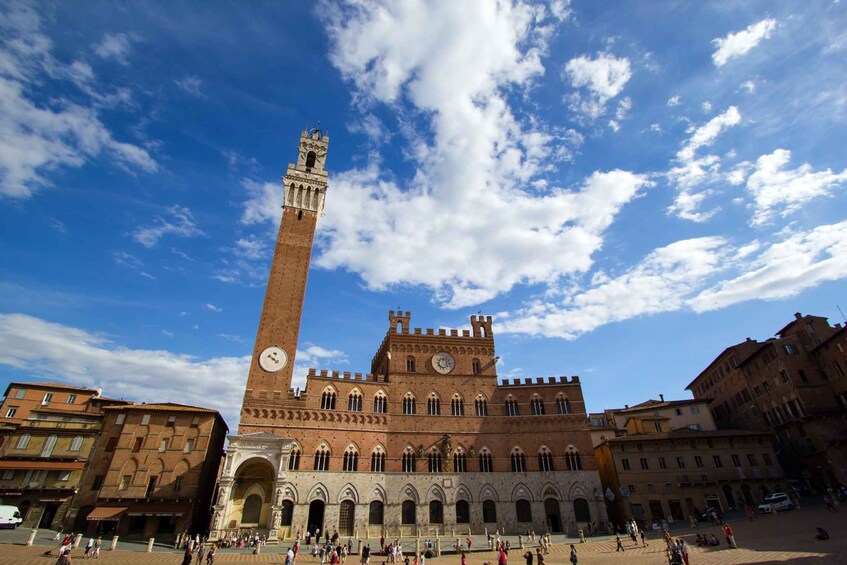 Picture 4 for Activity Siena: private tour of the treasure chest of Tuscany