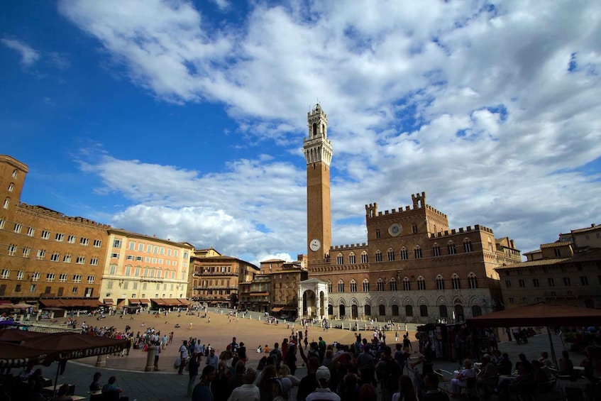 Picture 5 for Activity Siena: private tour of the treasure chest of Tuscany