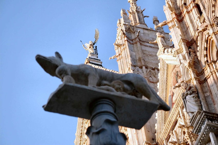 Picture 8 for Activity Siena: private tour of the treasure chest of Tuscany