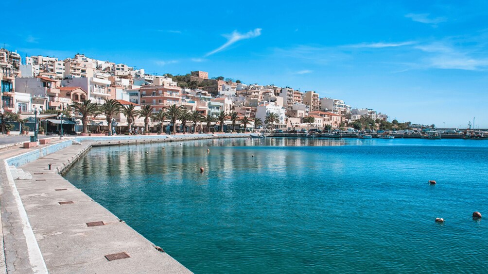 Picture 11 for Activity From Heraklion: Palm Forest Beach of Vai, Toplou & Sitia