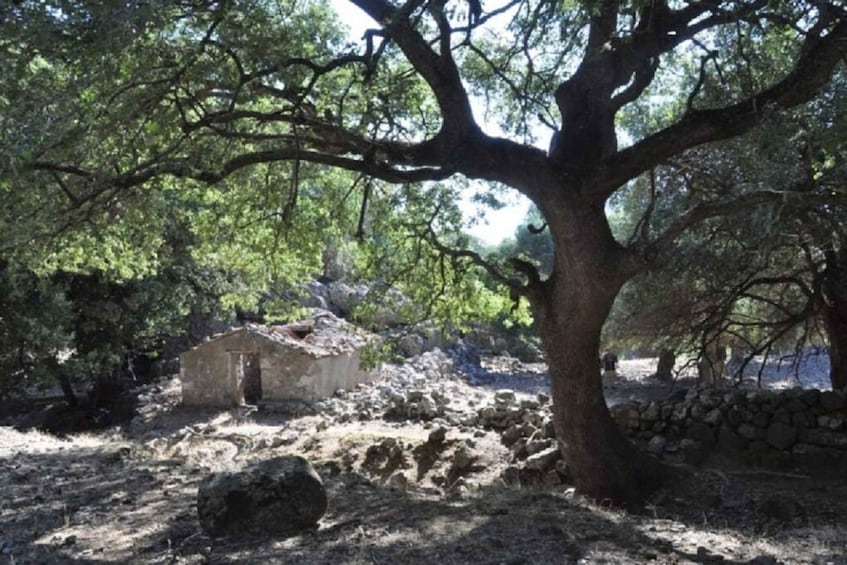 Picture 1 for Activity From Chania: Imbros Gorge Guided Hike and Village Visit