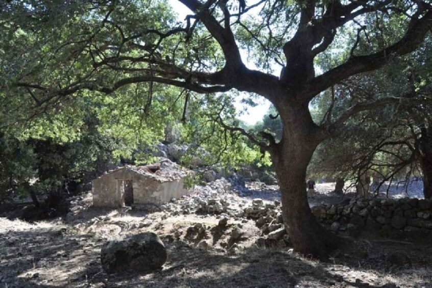 Picture 1 for Activity From Chania: Imbros Gorge Guided Hike and Village Visit