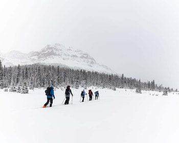 Banff : AST 1 - Formation sur les habiletés avalanches niveau 1