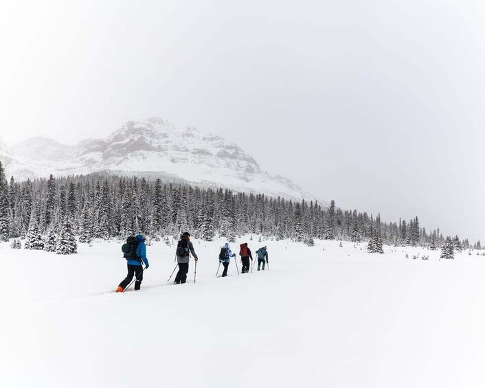 AST 1: Avalanche Skills Training Level 1