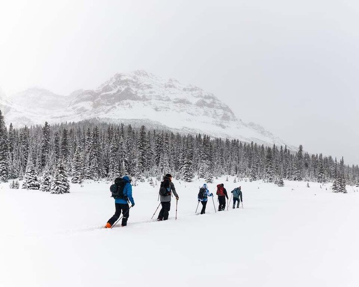 AST 1: Avalanche Skills Training Level 1