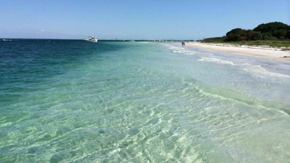 Picture 4 for Activity 5-Hour Egmont Key Tour in St. Pete