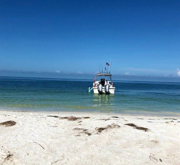 Picture 7 for Activity 5-Hour Egmont Key Tour in St. Pete