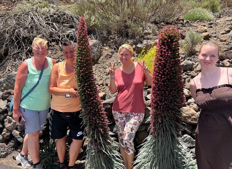 Picture 17 for Activity Santa Cruz: North Tenerife Private Guided Tour & Lunch