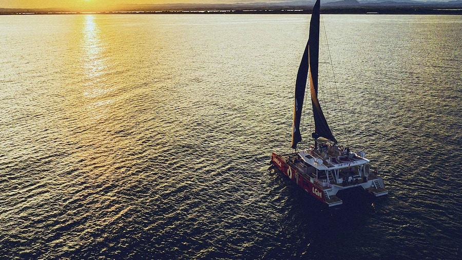 La Grande Motte: Camargue Sunset Catamaran Tour with a Drink