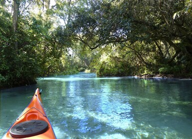 Orlando: Small Group Rock Springs Run Kayak Tour