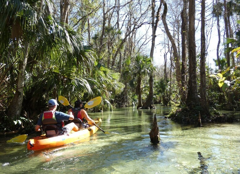 Picture 9 for Activity Orlando: Small Group Rock Springs Run Kayak Tour