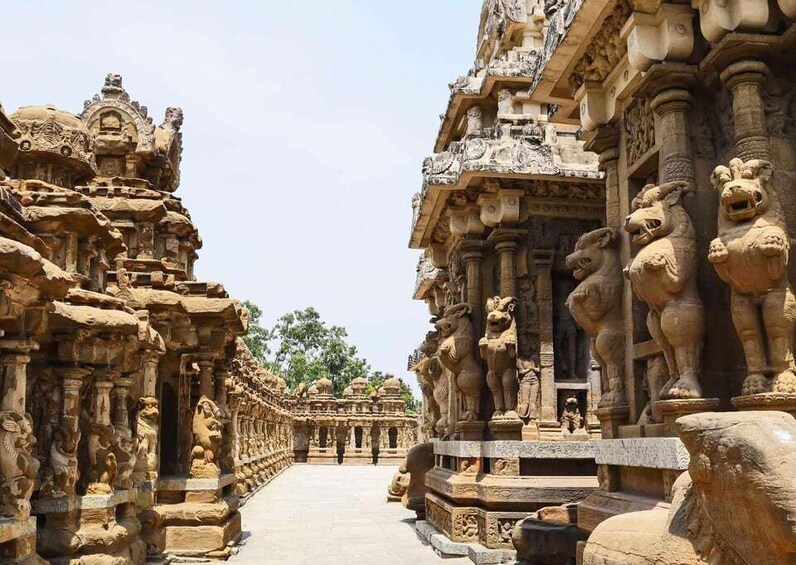 Picture 5 for Activity Day Trip to Kanchipuram (Guided Experience from Chennai)