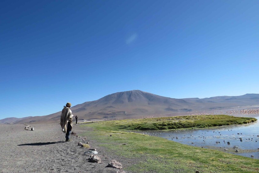 Picture 10 for Activity From Uyuni: Private Day trip Laguna Colorada.