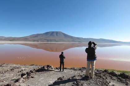 Fra Uyuni: Privat dagstur til Laguna Colorada.