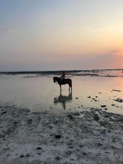 Picture 5 for Activity Horse Ride On The Beach on Gili Island