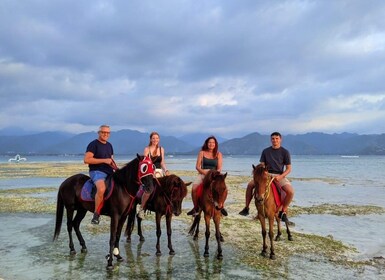 吉利群島海灘騎馬