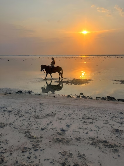 Picture 7 for Activity Horse Ride On The Beach on Gili Island