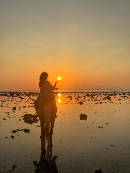 Picture 4 for Activity Horse Ride On The Beach on Gili Island