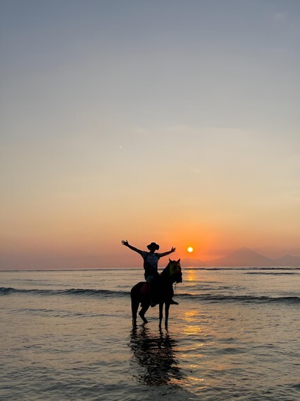 Picture 2 for Activity Horse Ride On The Beach on Gili Island