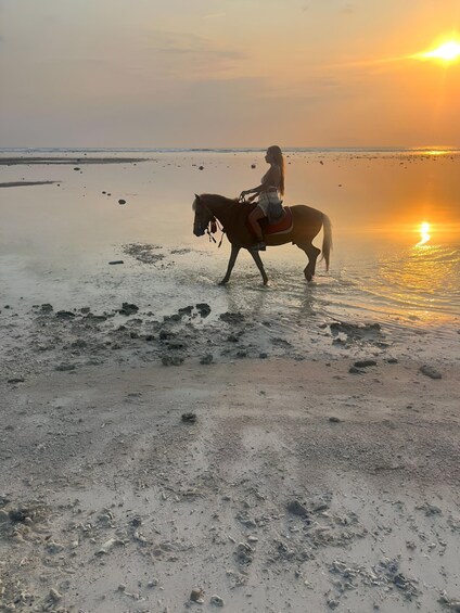 Picture 6 for Activity Horse Ride On The Beach on Gili Island