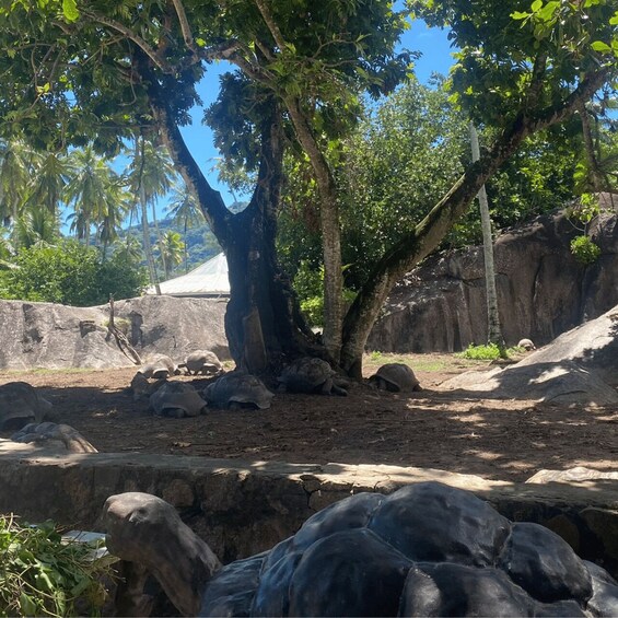 Picture 13 for Activity Victoria: St. Anne Marine Park and Cerf Island with Lunch