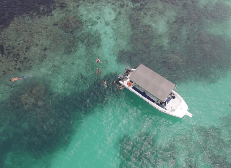 Victoria: St. Anne Marine Park and Cerf Island with Lunch