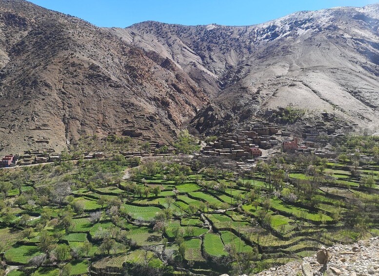 Picture 11 for Activity From Marrakech: Taoudja Summit Hike in the Atlas Mountain