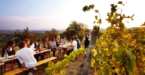 Ultimate Maipú Wine Tour - Boutique Wineries & Gourmet Lunch