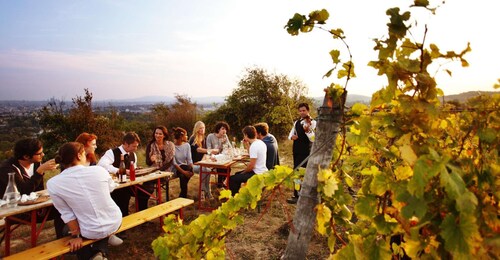 Ultimate Maipú Adventure: Winery Tour & Gourmet Lunch