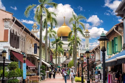 Local Street Food Tastings in Singapore Ethnic Quarters