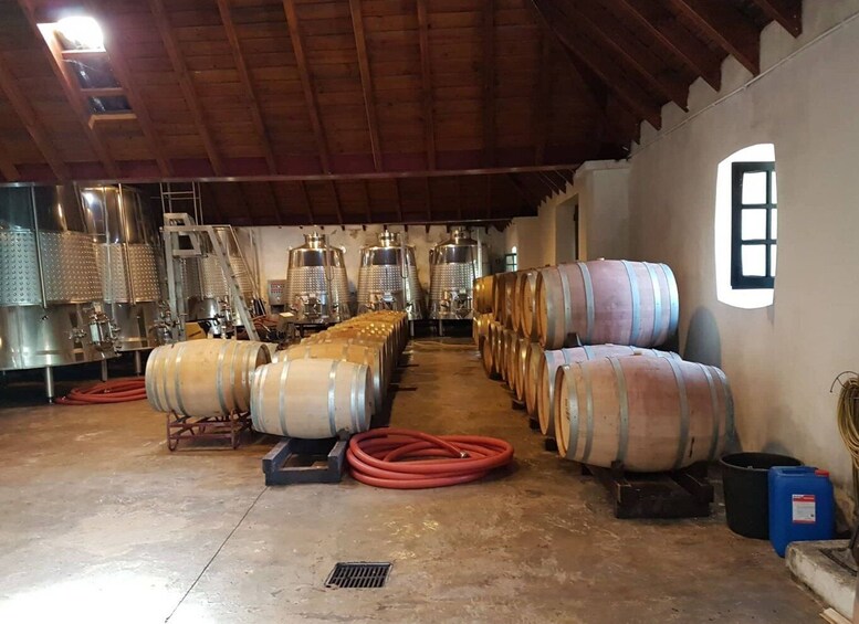 Picture 3 for Activity From Lagos: Private Algarve Wineries Tour with Tastings
