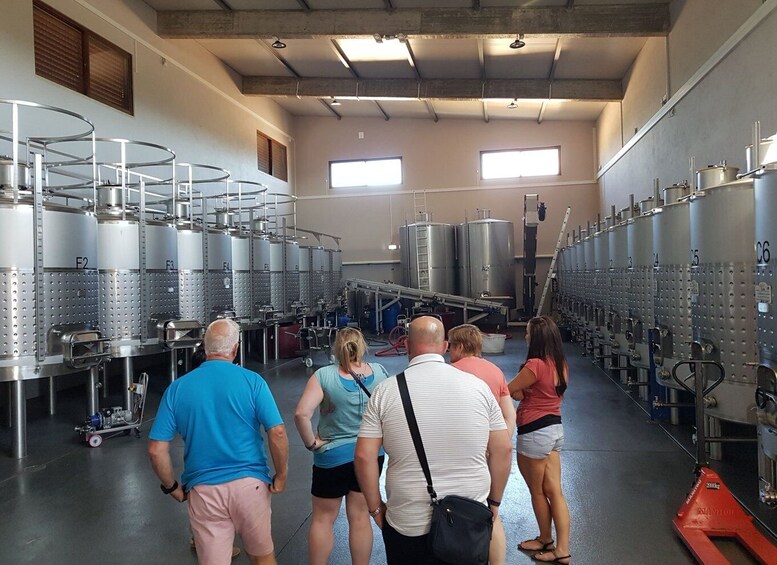 Picture 2 for Activity From Lagos: Private Algarve Wineries Tour with Tastings